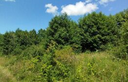 Teren 1500 mp, cu PUZ finalizat, Salicea