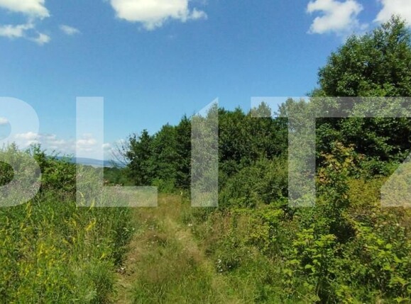 Teren de vânzare Salicea - 150013TV | BLITZ Cluj-Napoca | Poza4