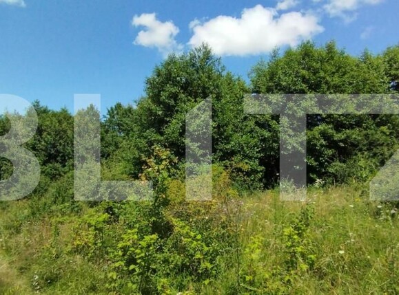 Teren de vânzare Salicea - 150013TV | BLITZ Cluj-Napoca | Poza2