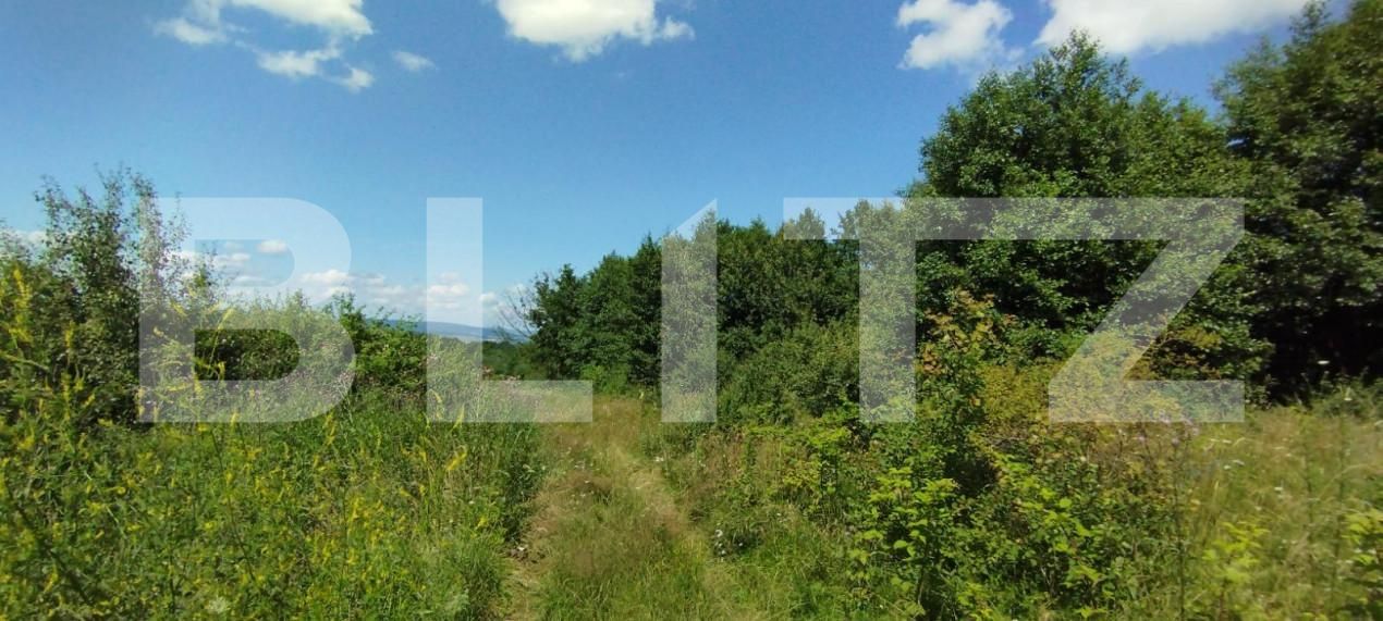 Teren de vânzare Salicea - 150013TV | BLITZ Cluj-Napoca | Poza4