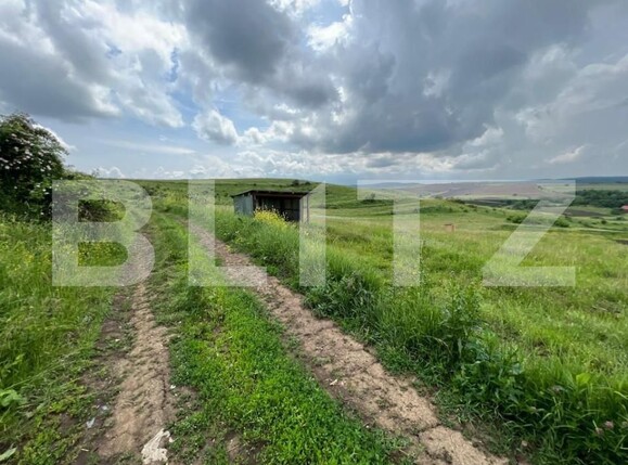 Teren de vânzare Deuşu - 150018TV | BLITZ Cluj-Napoca | Poza2