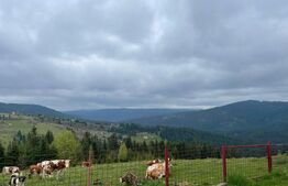 Ocazie! Casa de vacanta cu vedere la Lacul Belis