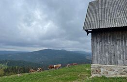 Ocazie! Casa de vacanta cu vedere la Lacul Belis