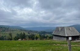 Ocazie! Casa de vacanta cu vedere la Lacul Belis
