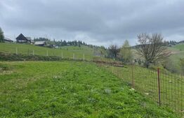 Ocazie! Casa de vacanta cu vedere la Lacul Belis