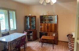 Ocazie! Casa de vacanta cu vedere la Lacul Belis