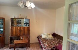 Ocazie! Casa de vacanta cu vedere la Lacul Belis