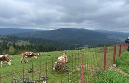 Ocazie! Casa de vacanta cu vedere la Lacul Belis