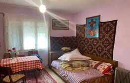 Ocazie! Casa de vacanta cu vedere la Lacul Belis