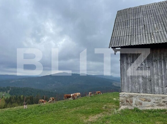 Casa de vânzare 3 camere Beliș - 150019CV | BLITZ Cluj-Napoca | Poza3