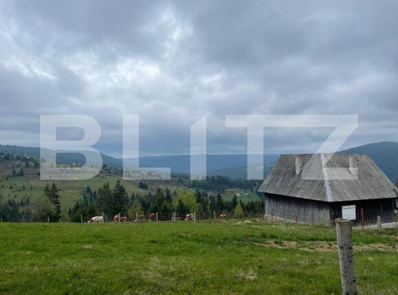 Casa de vânzare 3 camere Beliș - 150019CV | BLITZ Cluj-Napoca | Poza2