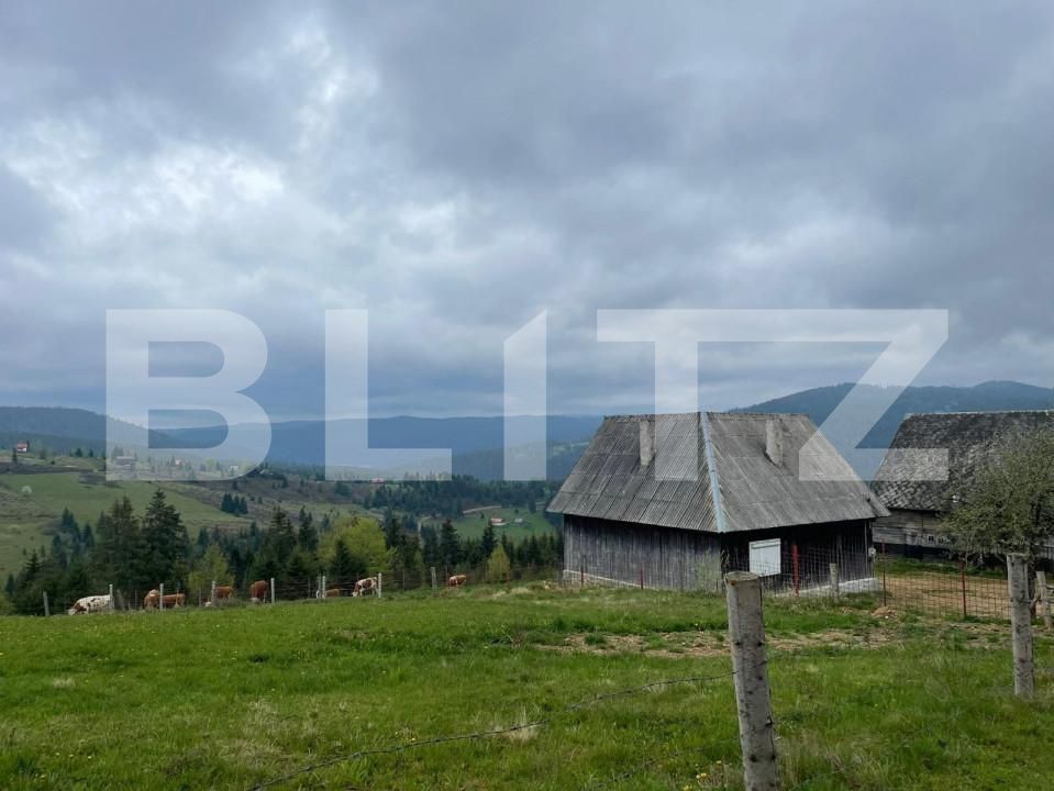 Casa de vânzare 3 camere Beliș - 150019CV | BLITZ Cluj-Napoca | Poza3