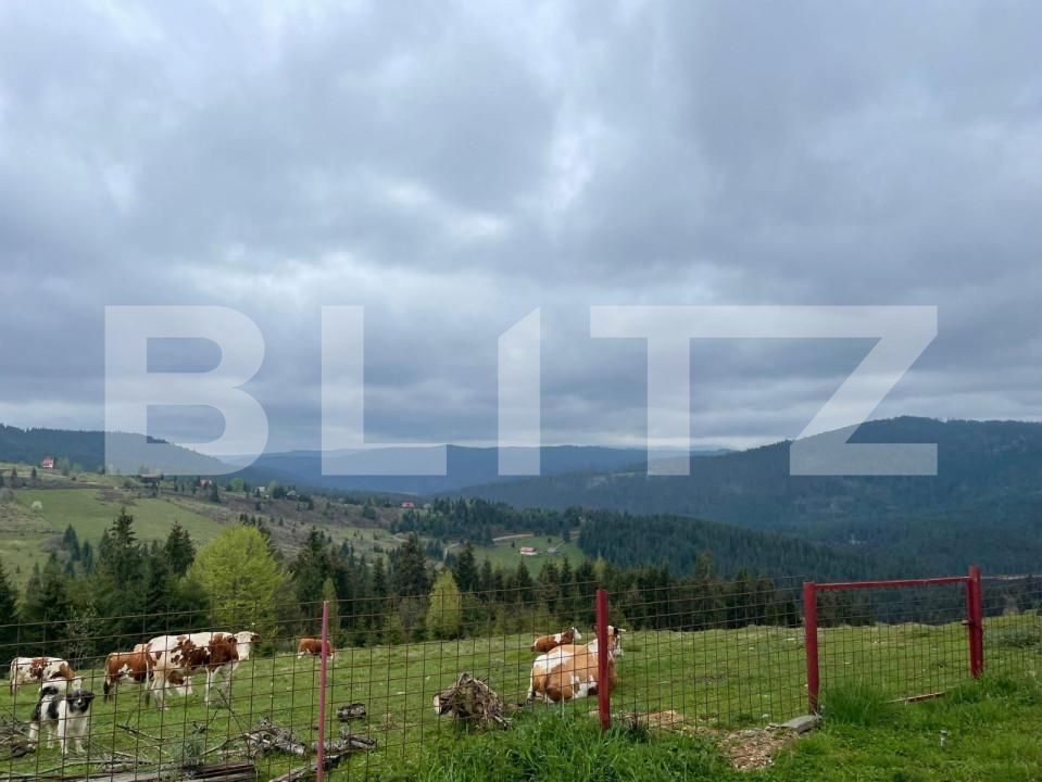 Casa de vânzare 3 camere Beliș - 150019CV | BLITZ Cluj-Napoca | Poza5