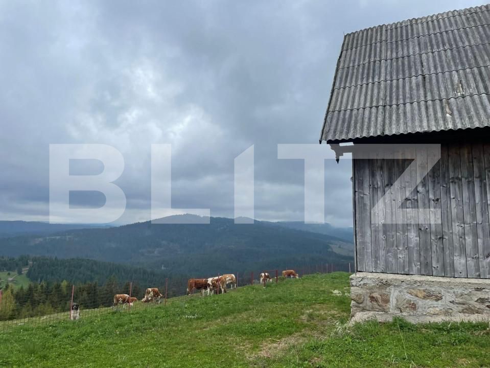 Casa de vânzare 3 camere Beliș - 150019CV | BLITZ Cluj-Napoca | Poza3