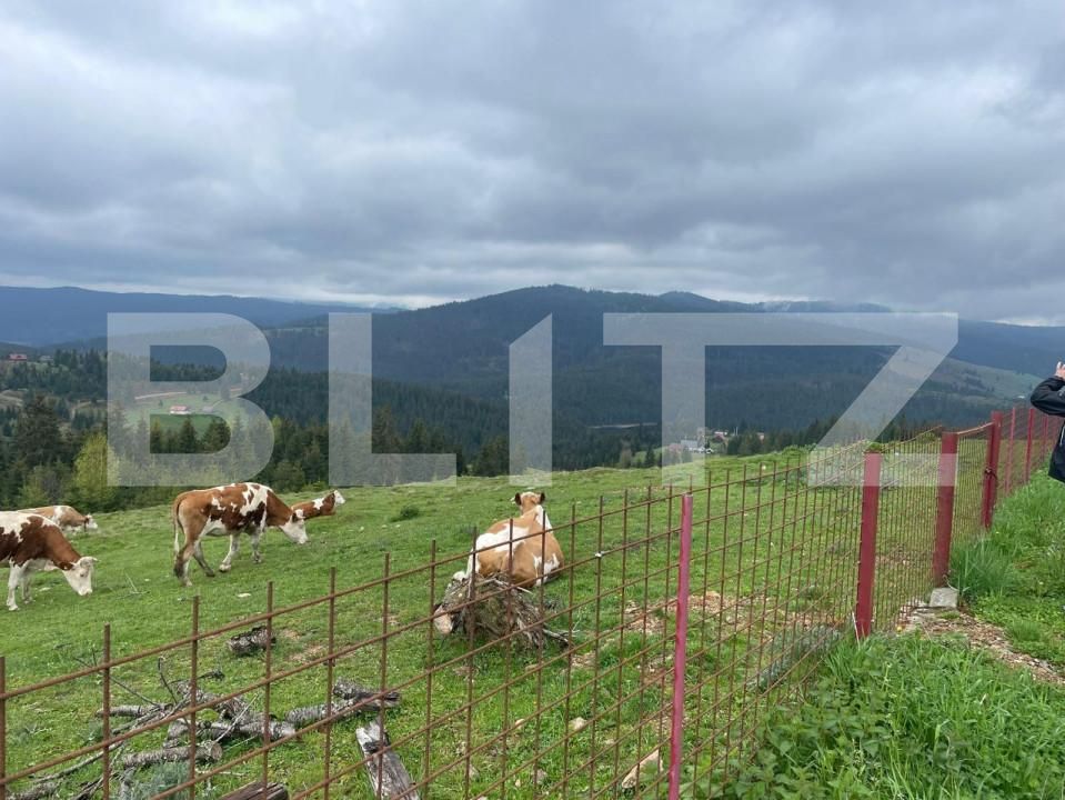 Casa de vânzare 3 camere Beliș - 150019CV | BLITZ Cluj-Napoca | Poza5