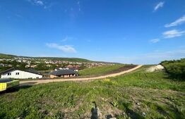 Teren Intravilan Chinteni 3800 mp zona Ion Creanga