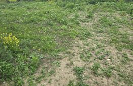 Apartament 3 camere, 51 mp, gradina ~200mp, zona primarie Apahida