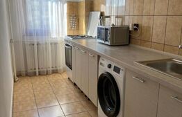 Apartament 1 camera, 40 mp, pet friendly, zona Kaufland Manastur