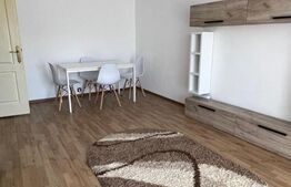 Apartament 1 camera, 40 mp, pet friendly, zona Kaufland Manastur