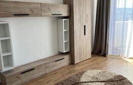 Apartament 1 camera, 40 mp, pet friendly, zona Kaufland Manastur