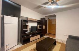 Garsoniera 22 mp, centrala proprie, zona strazii Tulcea