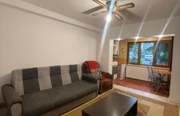 Garsoniera 22 mp, centrala proprie, zona strazii Tulcea