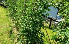 Casa de vacanta sau de locuit P+M de 96 mp, cu teren de 800 mp, Bran-Sohodol