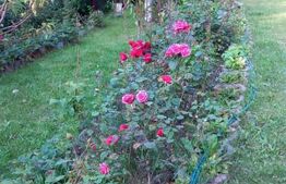 Casa de vacanta sau de locuit P+M de 96 mp, cu teren de 800 mp, Bran-Sohodol