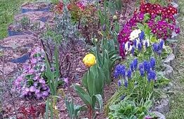 Casa de vacanta sau de locuit P+M de 96 mp, cu teren de 800 mp, Bran-Sohodol