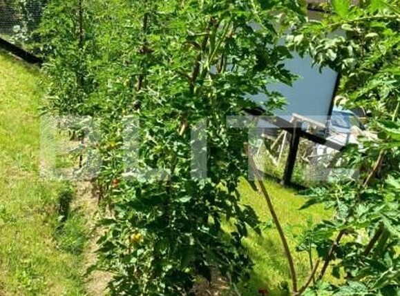 Casa de vânzare 3 camere Bran - 150061CV | BLITZ Brașov | Poza9