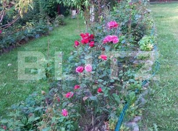 Casa de vânzare 3 camere Bran - 150061CV | BLITZ Brașov | Poza10