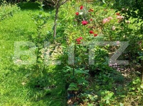 Casa de vânzare 3 camere Bran - 150061CV | BLITZ Brașov | Poza8