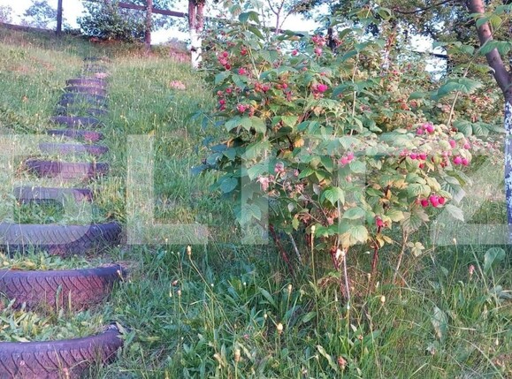 Casa de vânzare 3 camere Bran - 150061CV | BLITZ Brașov | Poza7