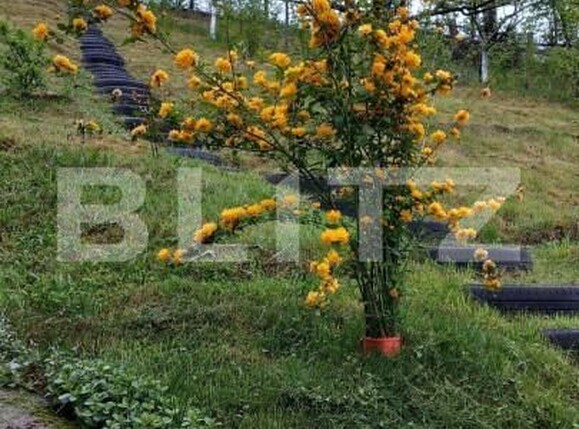 Casa de vânzare 3 camere Bran - 150061CV | BLITZ Brașov | Poza5