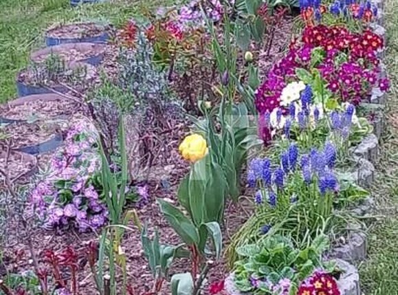 Casa de vânzare 3 camere Bran - 150061CV | BLITZ Brașov | Poza4