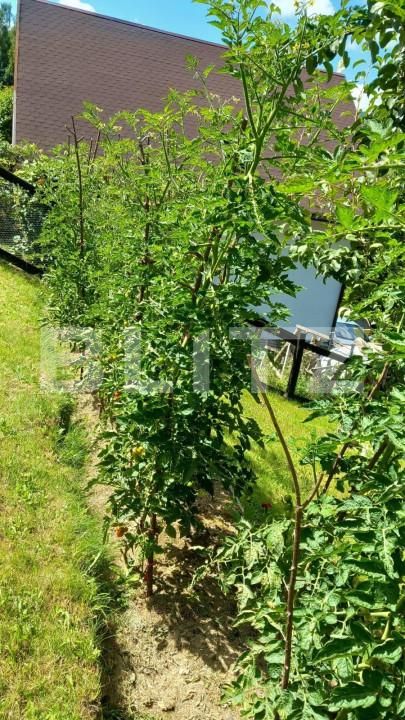 Casa de vânzare 3 camere Bran - 150061CV | BLITZ Brașov | Poza9