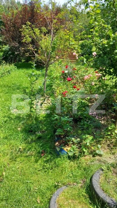 Casa de vânzare 3 camere Bran - 150061CV | BLITZ Brașov | Poza8