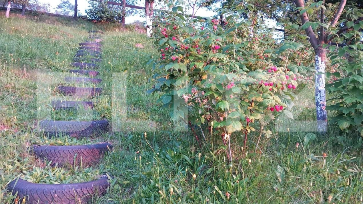 Casa de vânzare 3 camere Bran - 150061CV | BLITZ Brașov | Poza7