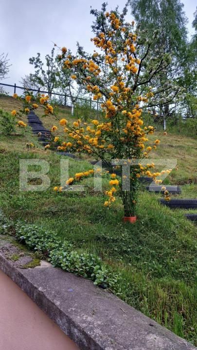 Casa de vânzare 3 camere Bran - 150061CV | BLITZ Brașov | Poza5