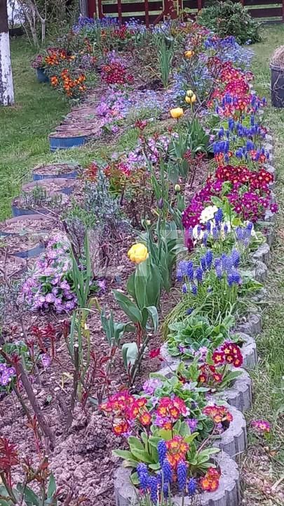 Casa de vânzare 3 camere Bran - 150061CV | BLITZ Brașov | Poza4