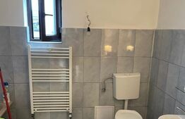 Proprietate speciala in Apahida, casa 206 mp utili, 3000 mp, 25 ml front