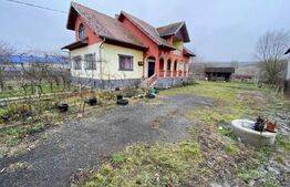 Proprietate speciala in Apahida, casa 206 mp utili, 3000 mp, 25 ml front