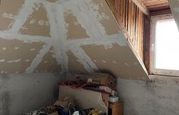 Proprietate speciala in Apahida, casa 206 mp utili, 3000 mp, 25 ml front