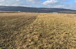 Teren intravilan, 5800 MP, zona de case, Jucu de Mijloc