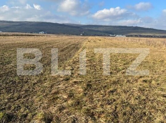 Teren de vânzare Jucu de Mijloc - 150127TV | BLITZ Cluj-Napoca | Poza1