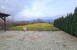 Casa individuala 277 mp, 3 dormitoare, teren 2500 mp, Campia Turzii