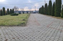 Casa individuala 277 mp, 3 dormitoare, teren 2500 mp, Campia Turzii