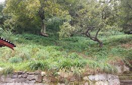 Casa in Rasnov, 90 mp2, teren 1000mp.