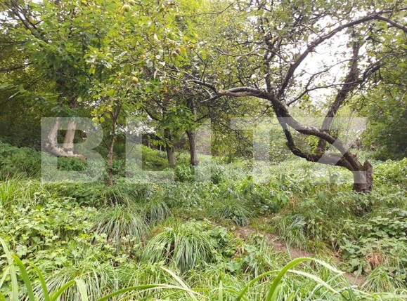 Casa de vânzare 3 camere Rasnov - 150134CV | BLITZ Brașov | Poza1