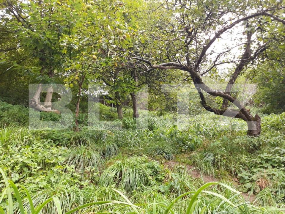 Casa de vânzare 3 camere Rasnov - 150134CV | BLITZ Brașov | Poza1